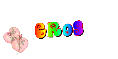 0c53d4b3.gif