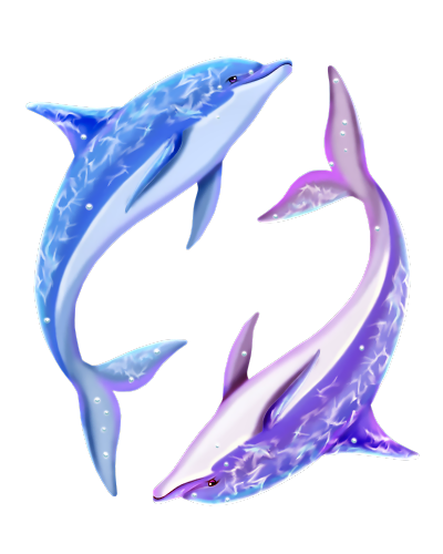couple de dauphin bleu & violet